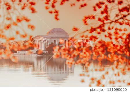 The Jefferson Memorial during the Cherry Blossom Festival in Washington, DC 131090090