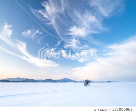 青空と白銀の雪原が広がる冬の絶景 131090962