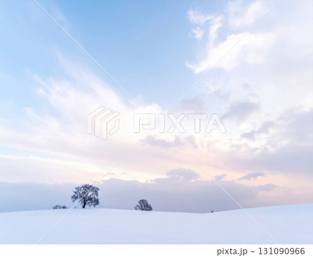 青空と白銀の雪原が広がる冬の絶景 131090966