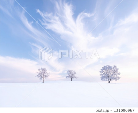 青空と白銀の雪原が広がる冬の絶景 131090967