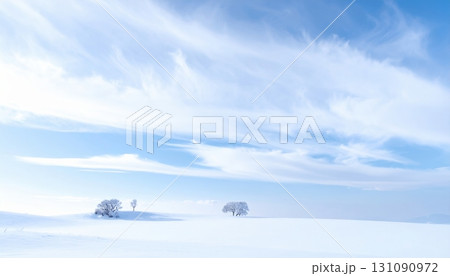 青空と白銀の雪原が広がる冬の絶景 131090972