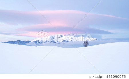 青空と白銀の雪原が広がる冬の絶景 131090976