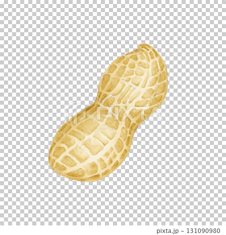 花生蔬菜水彩插圖 131090980