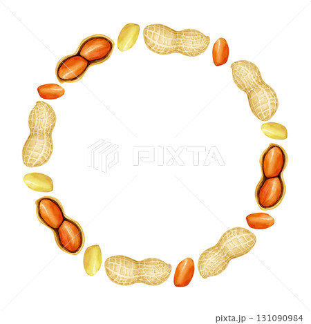 ピーナッツ 落花生　野菜　フレーム　水彩 イラスト 131090984