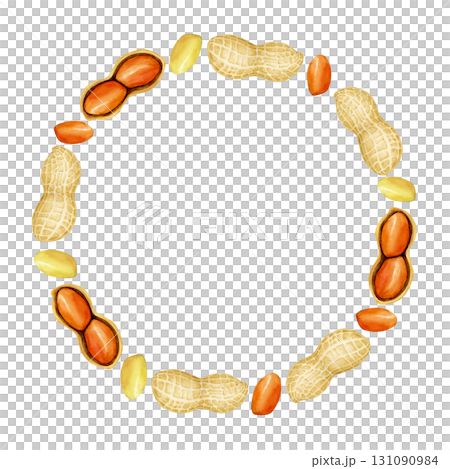 ピーナッツ 落花生　野菜　フレーム　水彩 イラスト 131090984