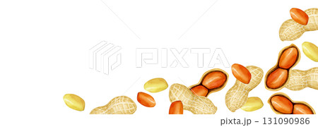 ピーナッツ 落花生　野菜　背景 フレーム 横長　水彩 イラスト 131090986