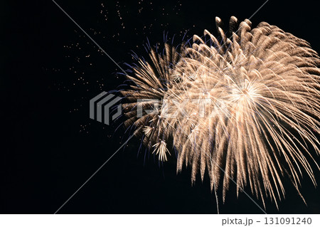 東海まつり花火大会　花火 131091240