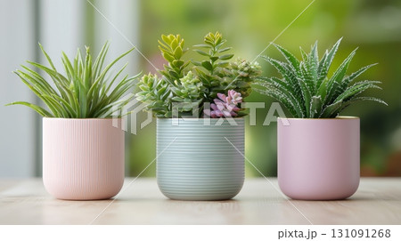 Elegant Round Podium Displaying Soft Mat with Beautiful Greenery and Succulents 131091268