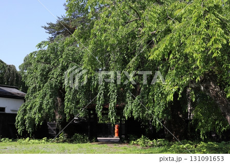 秋田 仙北 丸ポストのある風景(角館重伝建地区) 秋田 仙北 丸ポストのある風景(角館重伝建地区) 131091653