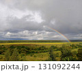 Summer landscape with rainbow over river, fields, forest, beauty 131092244