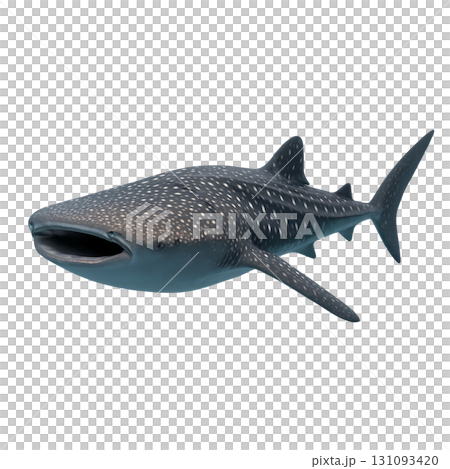 Whale shark 131093420