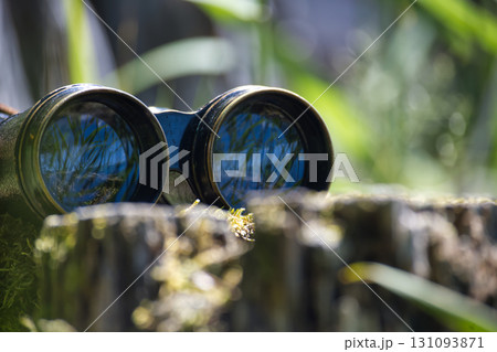 Vintage Binoculars Resting Outdoors Amid Lush Greenery and Natural Light Vintage Binoculars Resting Outdoors Amid Lush Greenery and Natural Light 131093871