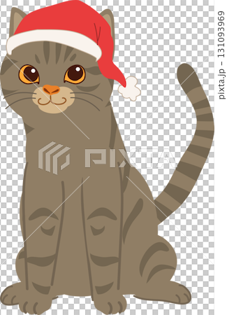 cute cat in santa hat for christmas. festive pet drawing for christmas card cute cat in santa hat for christmas. festive pet drawing for christmas card 131093969