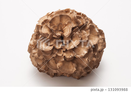 マイタケ 舞茸 マイタケ 舞茸 131093988