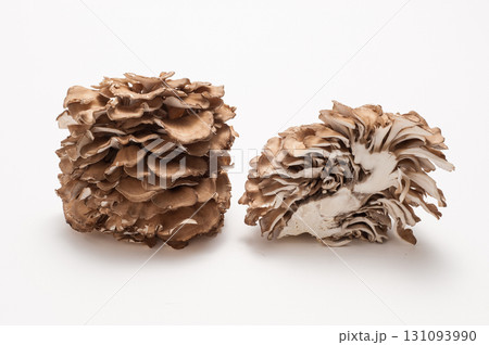 舞茸 まいたけ 舞茸 まいたけ 131093990