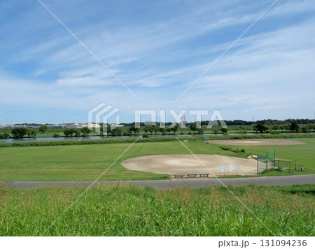 江戸川河川敷と野球場 江戸川河川敷と野球場 131094236