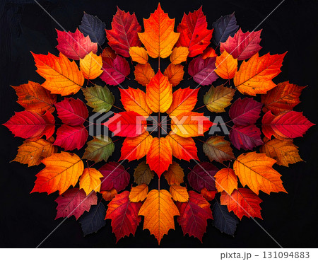 Autumn leaves in kaleidoscopic arrangement, showcasing perfect visual symmetry on black background 131094883