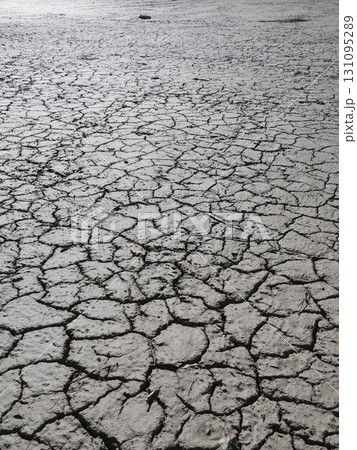 Barren, cracked, and dry landscape with no vegetation 131095289