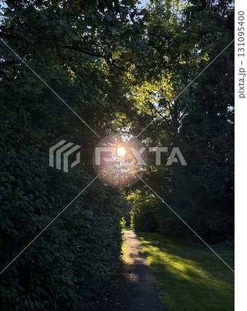 Experience the beauty of a sunrise breaking through trees, casting an ethereal glow Experience the beauty of a sunrise breaking through trees, casting an ethereal glow 131095400