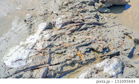 Textured Close-up of Weathered Coastal Rock Textured Close-up of Weathered Coastal Rock 131095684