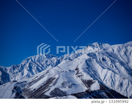 快晴の空と冬の北アルプス　長野県白馬村 131095992