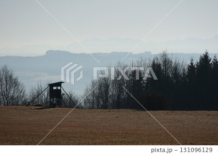 Deer stand is in the middle of a field Deer stand is in the middle of a field 131096129