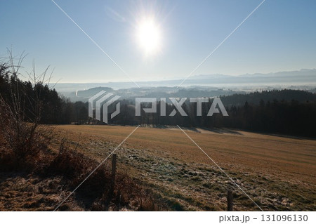 Field with a sun shining on it Field with a sun shining on it 131096130