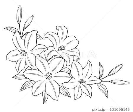 ユリの花の飾り　線画イラスト 131096142