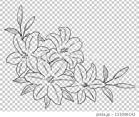 ユリの花の飾り　線画イラスト 131096142