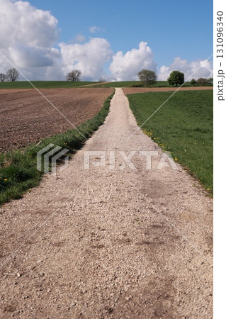 Dirt road with a tree in the background Dirt road with a tree in the background 131096340