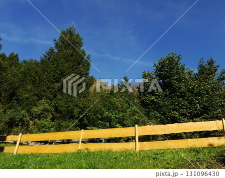 Yellow wooden fence separates a field from a forest 131096430