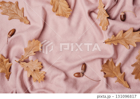 Autumn oak leaves and acorns frame on soft pink blanket, copy space Autumn oak leaves and acorns frame on soft pink blanket, copy space 131096817