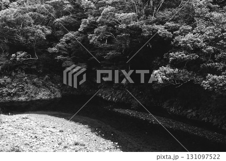川岸の風景 131097522