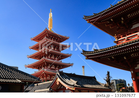 東京都　浅草寺の五重塔 131097677