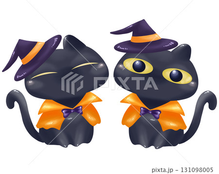 ハロウィンの仮装をした黒猫セット 131098005