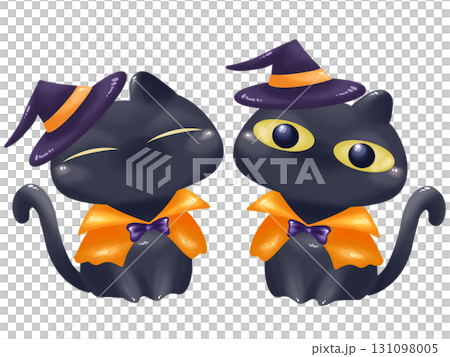 ハロウィンの仮装をした黒猫セット 131098005
