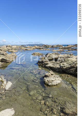 房総半島西端の侵食された岩場が続く海岸 房総半島西端の侵食された岩場が続く海岸 131098556