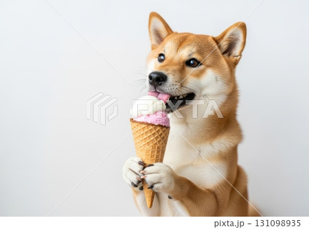 アイスクリームを食べる犬のかわいい写真  アイスクリームを食べる犬のかわいい写真  131098935