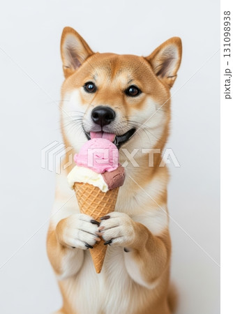 アイスクリームを食べる犬のかわいい写真  アイスクリームを食べる犬のかわいい写真  131098938
