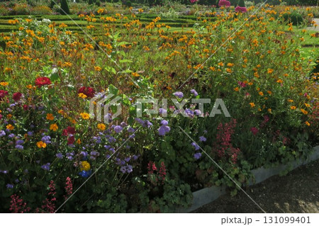 バルトのヴェルサイユ、ルンダーレ宮殿 131099401