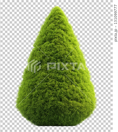Small cone-shaped evergreen Christmas tree 131099777