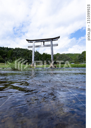 鳥居 131099928