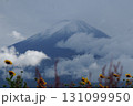 富士山と雲とキバナコスモスの風景 131099950