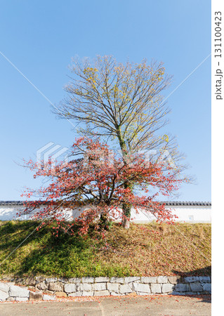 赤穂城跡（赤穂城内） 131100423