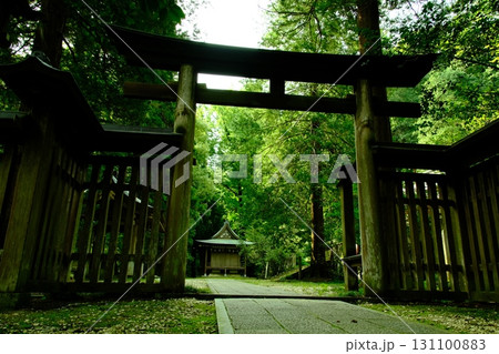 緑に覆われた神秘的な鳥居 緑に覆われた神秘的な鳥居 131100883