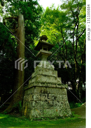 緑に覆われた石灯籠 131100884