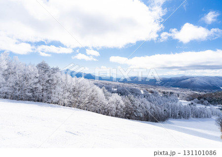 【ゲレンデ素材】白銀のゲレンデと青空【長野県】 131101086