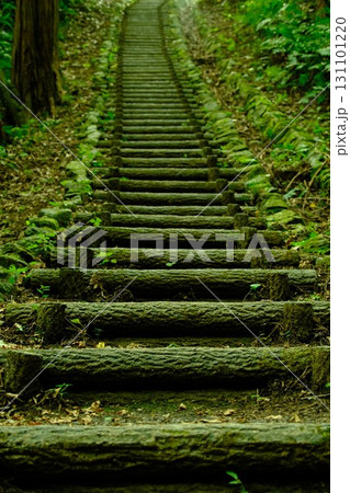 苔むした石段 131101220