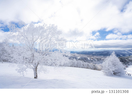 【冬素材】白銀の霧氷の風景【長野県】 131101308