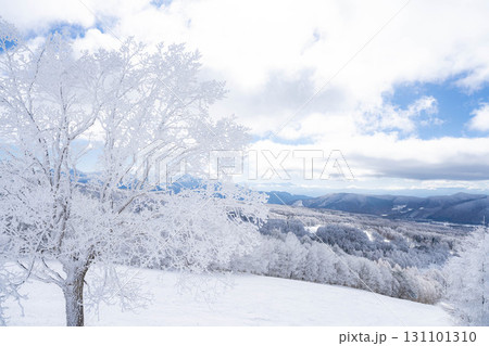 【冬素材】白銀の霧氷の風景【長野県】 131101310